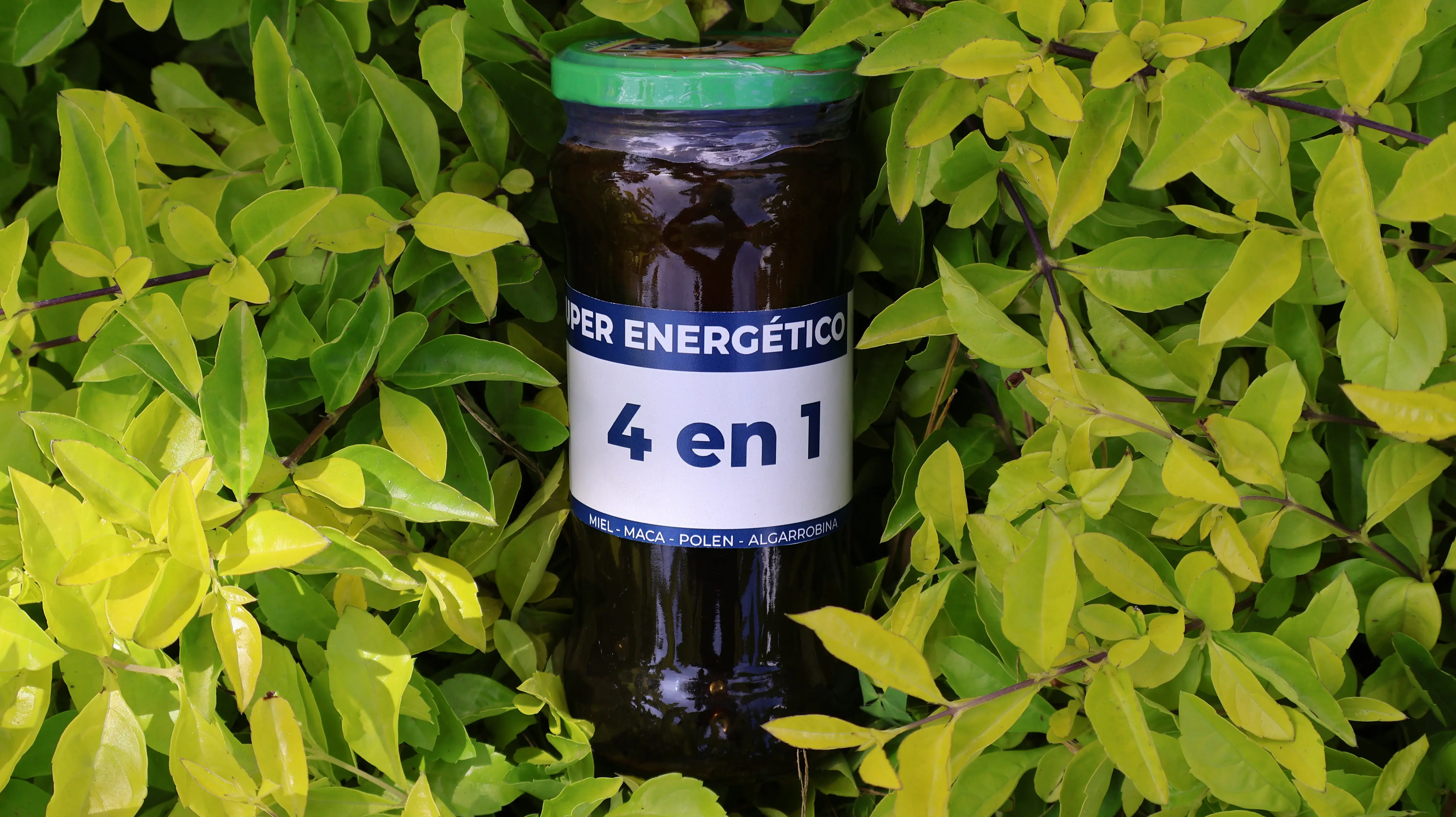 Energizante 4 en 1 (500 g)