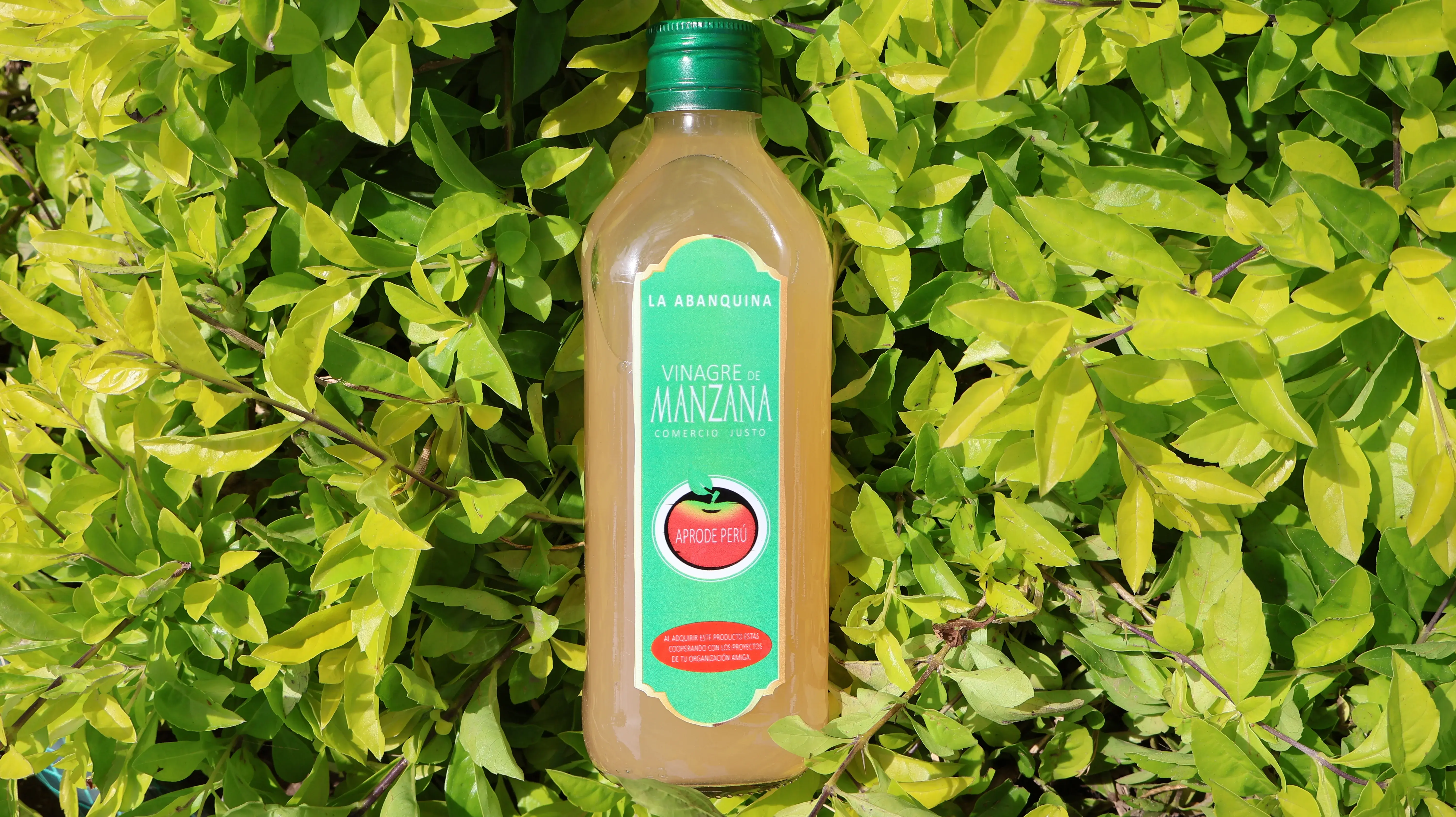 Vinagre de Manzana (500 ml)